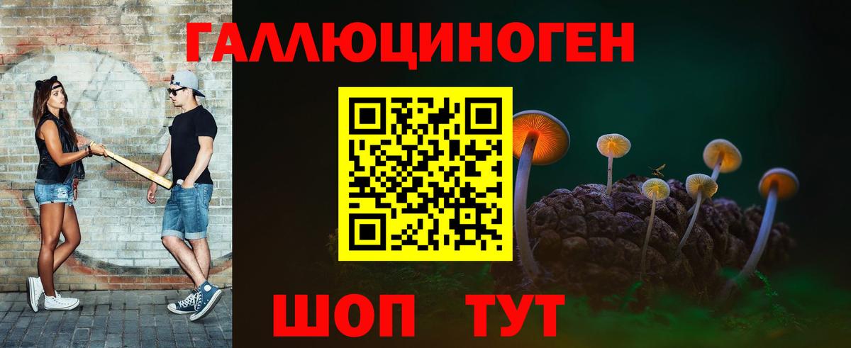 Галлюциногенные грибы мицелий  Вход с VPN  Псилоцибиновые грибы Psilocybine cubensis  Калининград 